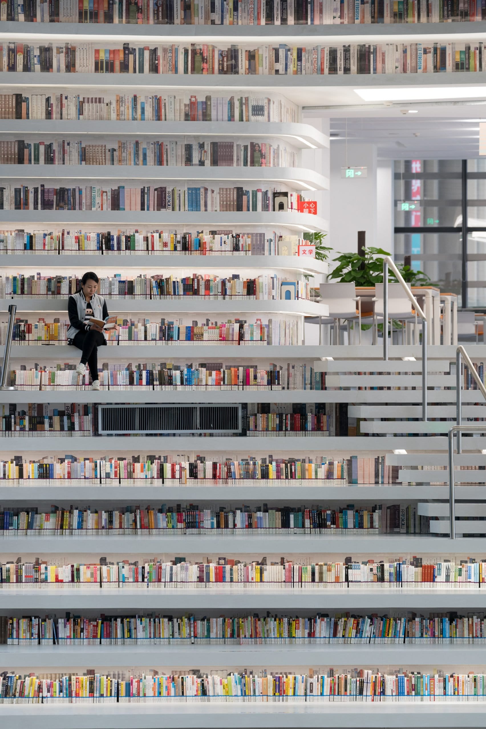 biblioteca publica tianjin