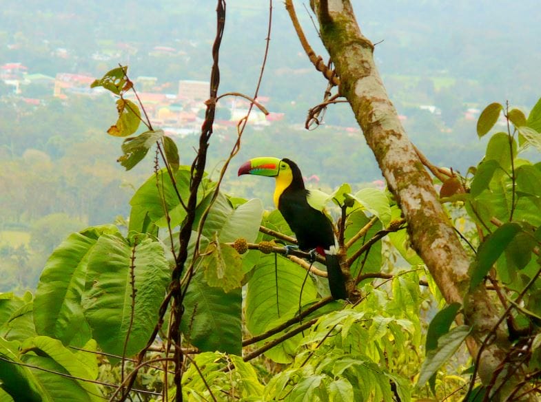 Cоѕtа Rica