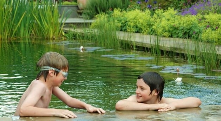piscina naturala 2