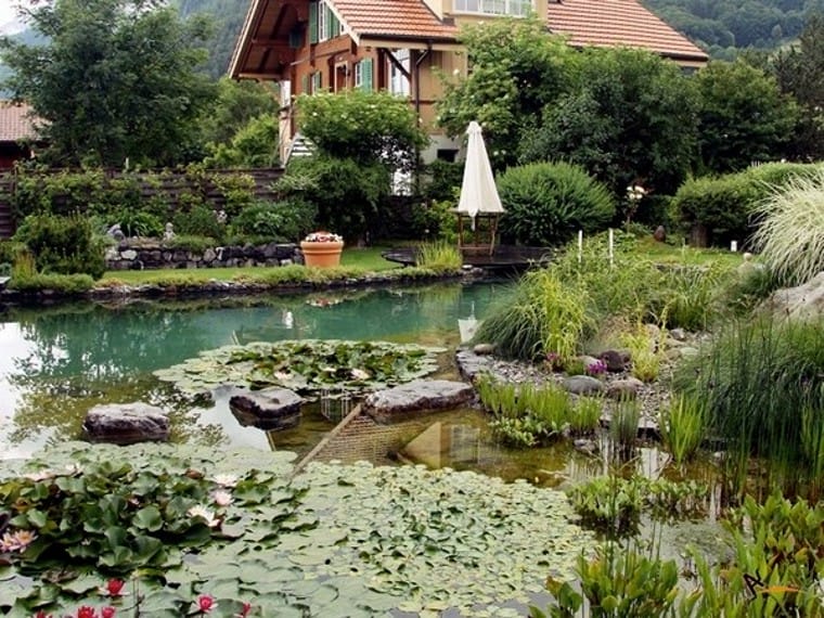 piscina naturala 3