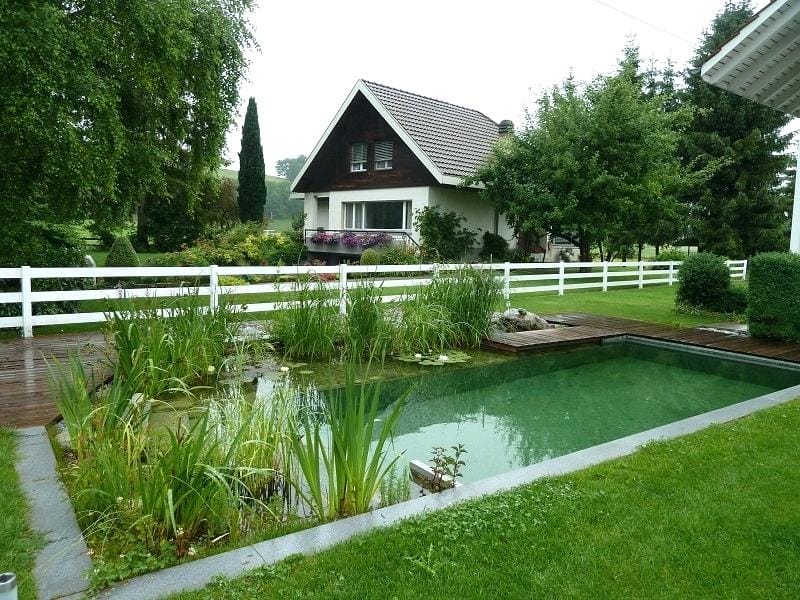 piscina naturala 4