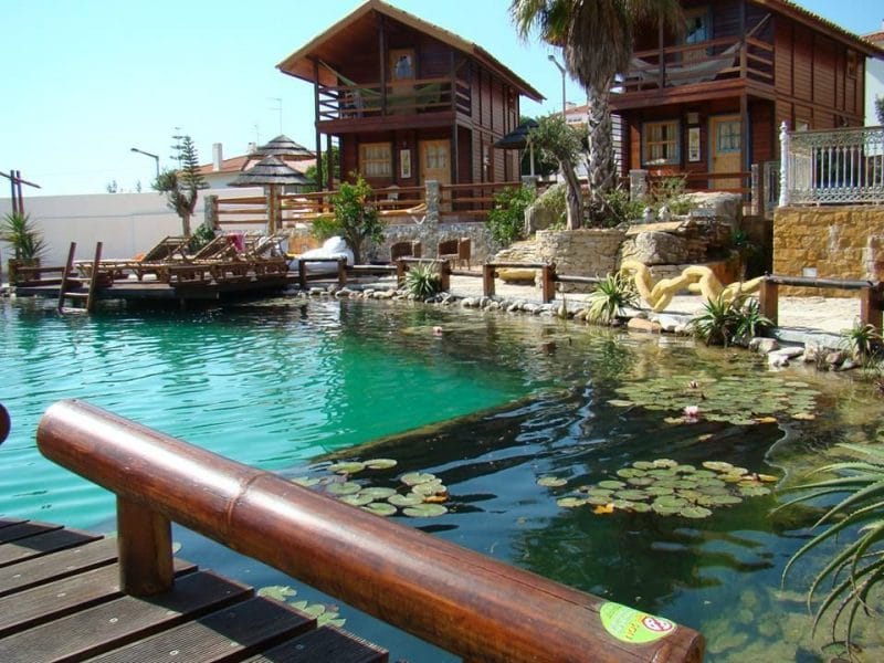 piscina naturala 5