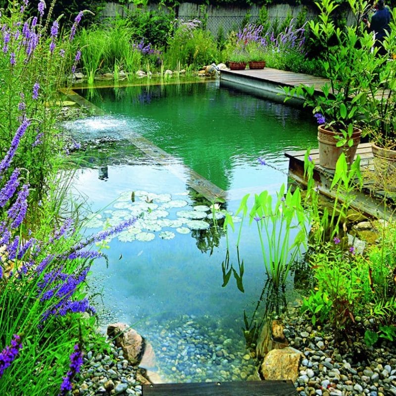 piscina naturala 7