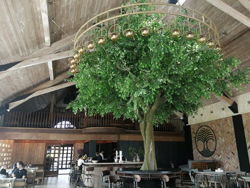 Restaurant DOR Tohanu Nou Brasov 05
